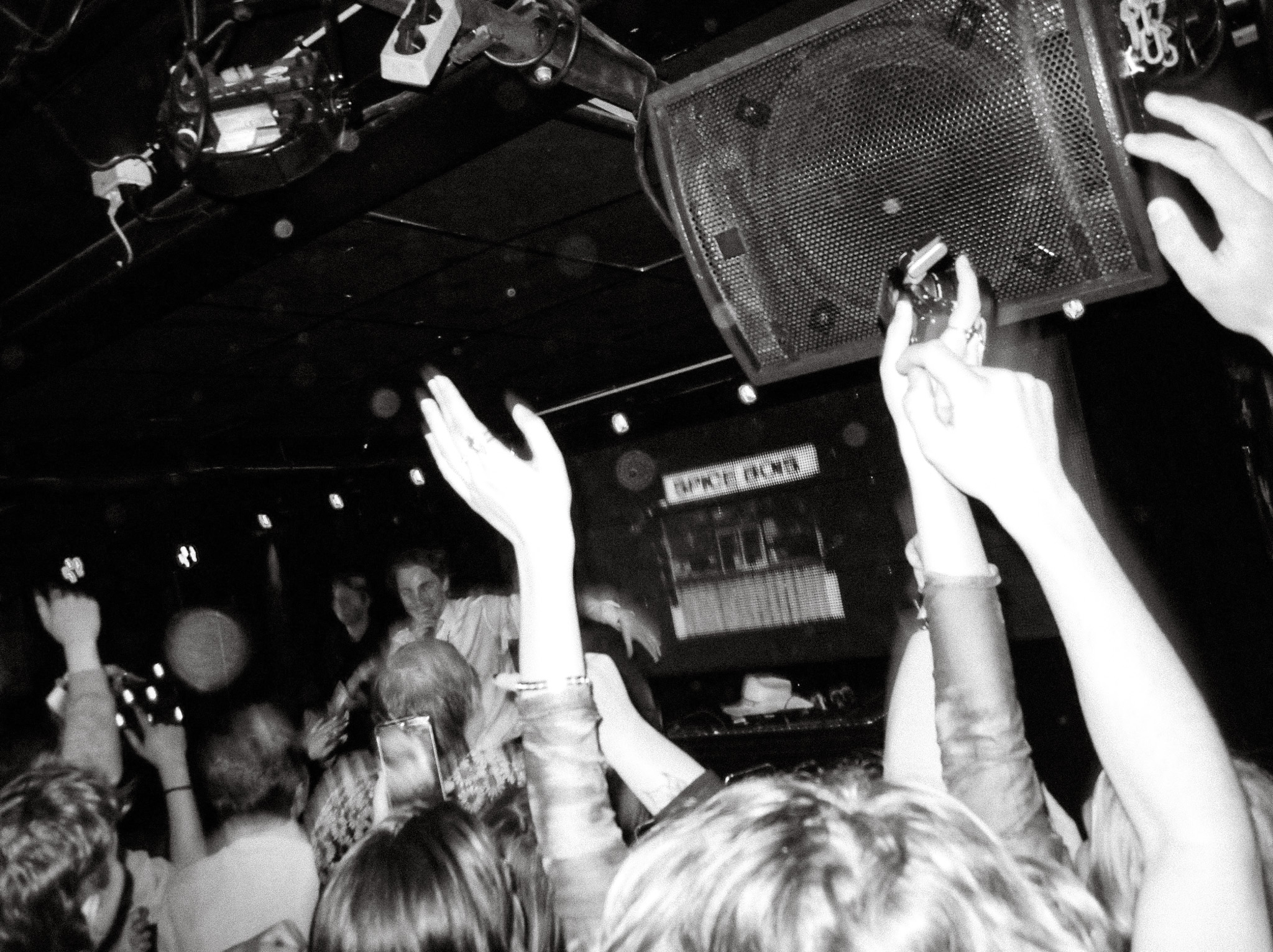 Göteborg, Nefertiti 2024